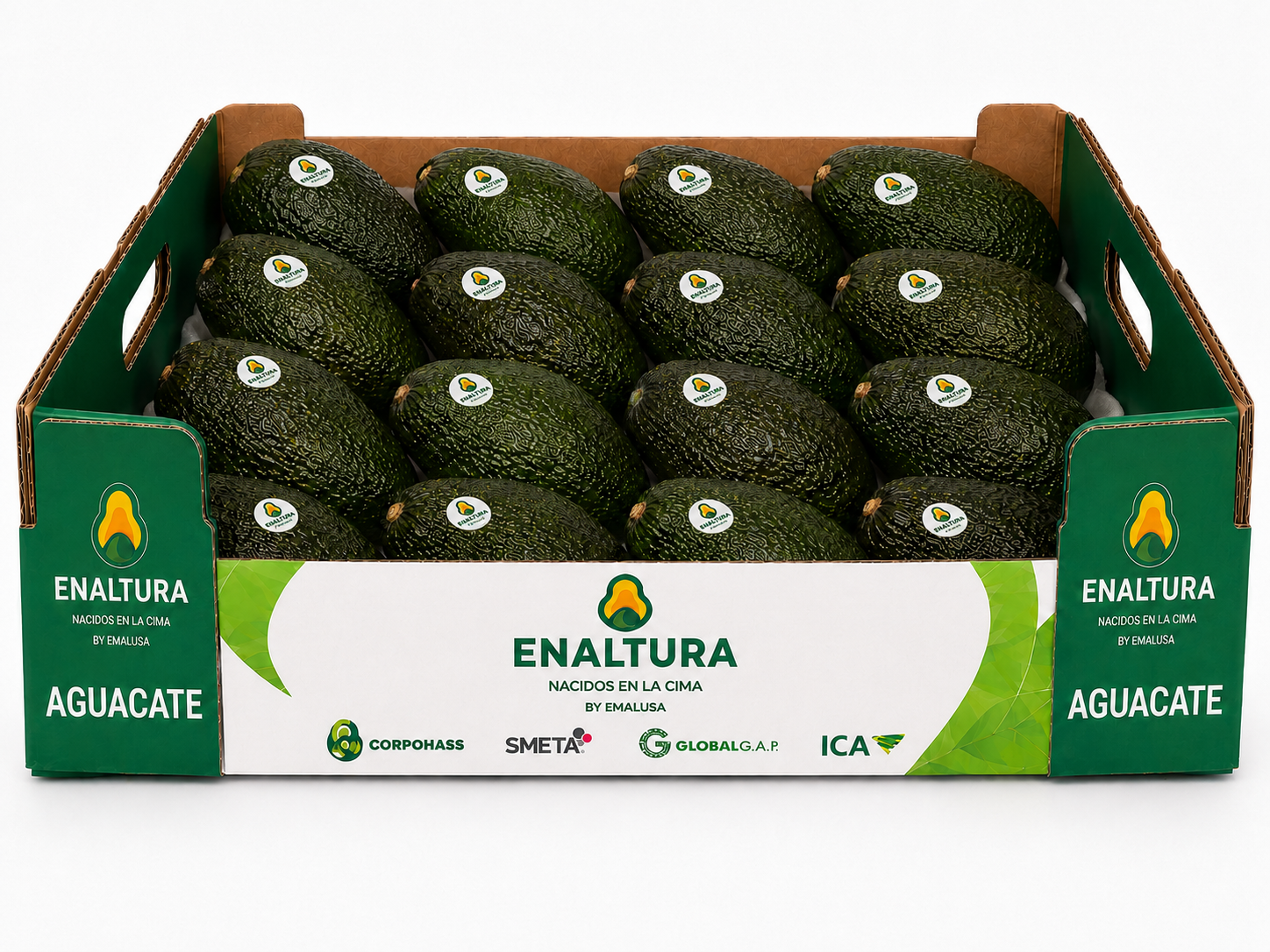 Caja Premium 4KG Aguacate Hass Enaltura